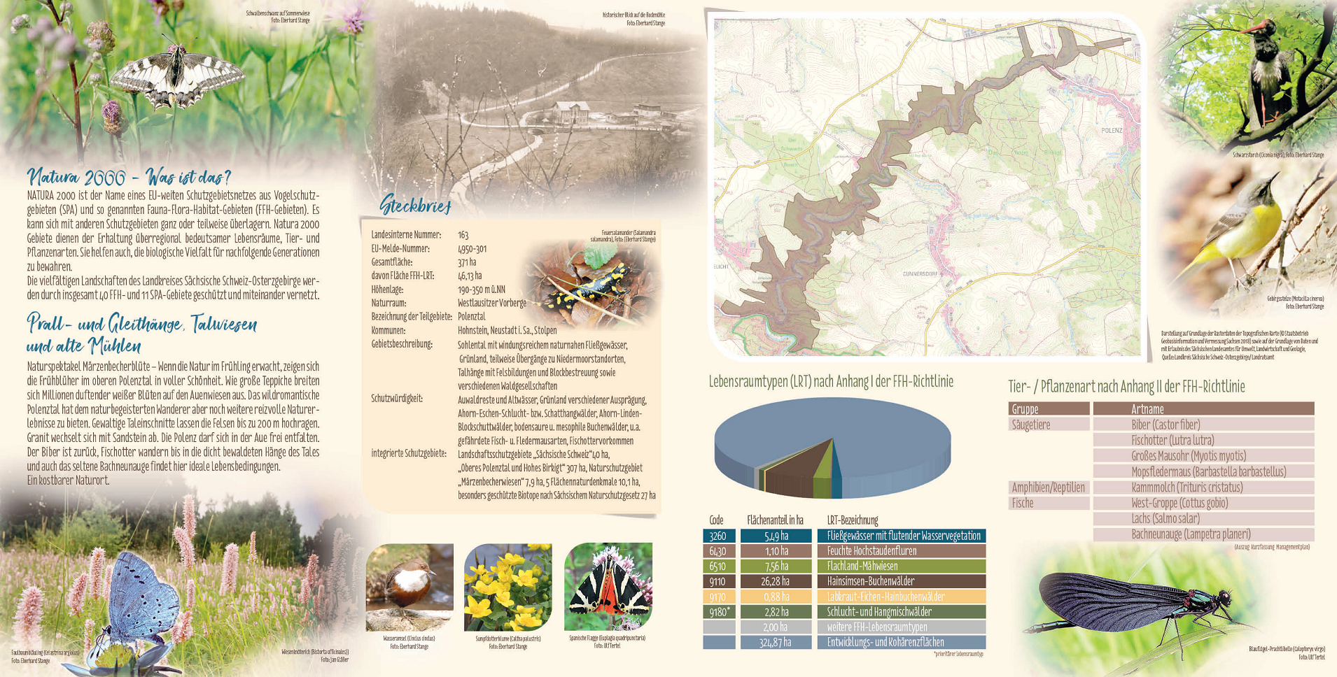 tl_files/downloads/Bilder Projekte/Projektstellen/Natura 2000 1.0/Flyer/FFH-Gebiet_Polenztal_2.png